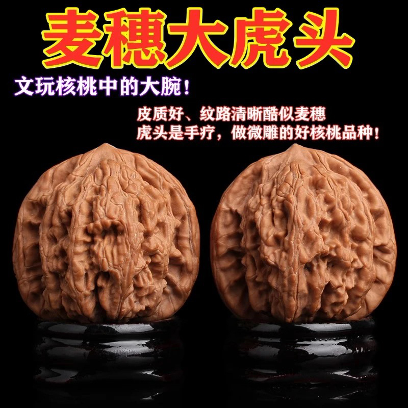 麦穗虎头文玩核桃纯天然原色精品收藏级手把件