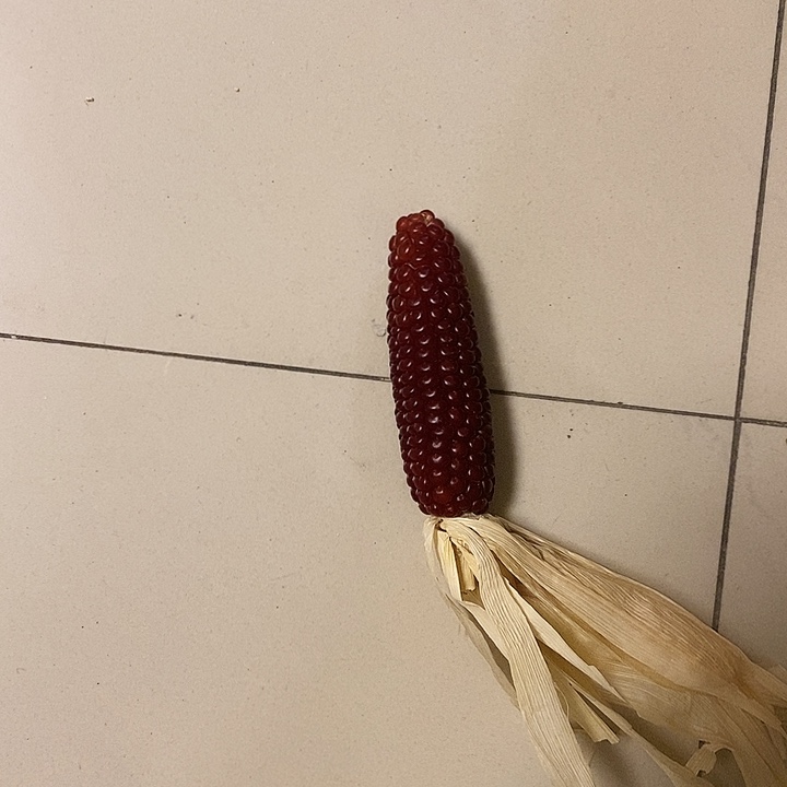 文***藰小手把件小文玩东西