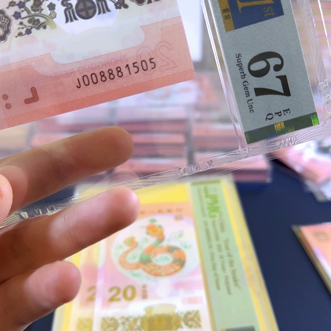 塑料蛇钞008881505单张