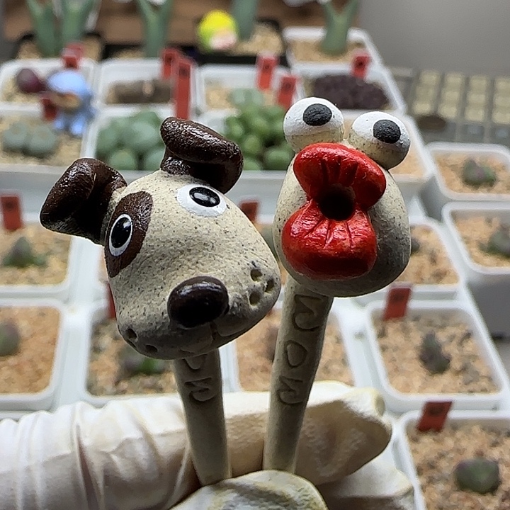 ฅ***ฅ11-18当天满38包邮韩国小蛇花插