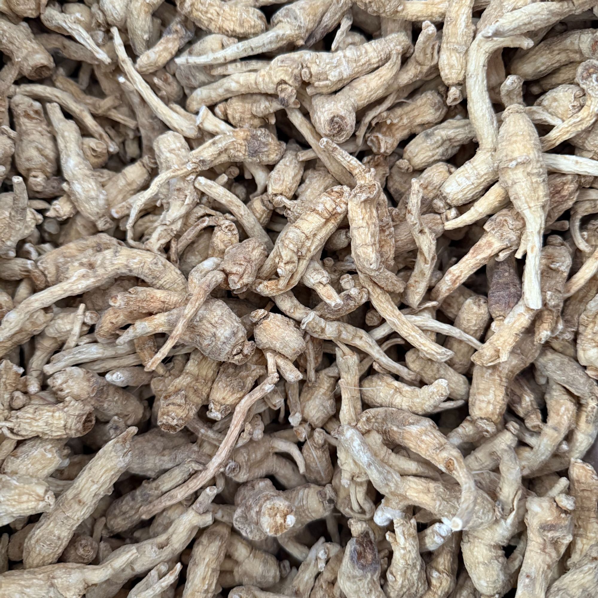 深山山货西洋参——3——