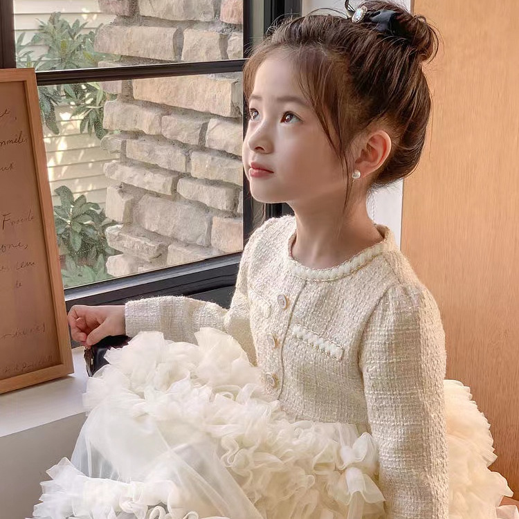 2024秋冬富家千金女童连衣裙设计感重工礼服女孩蓬蓬蛋糕裙演出D