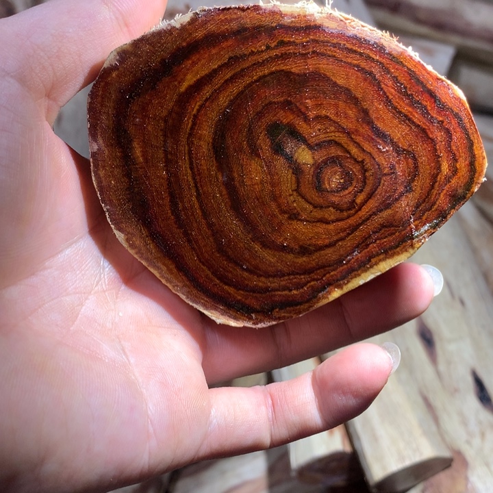 花梨木类海南黄花梨