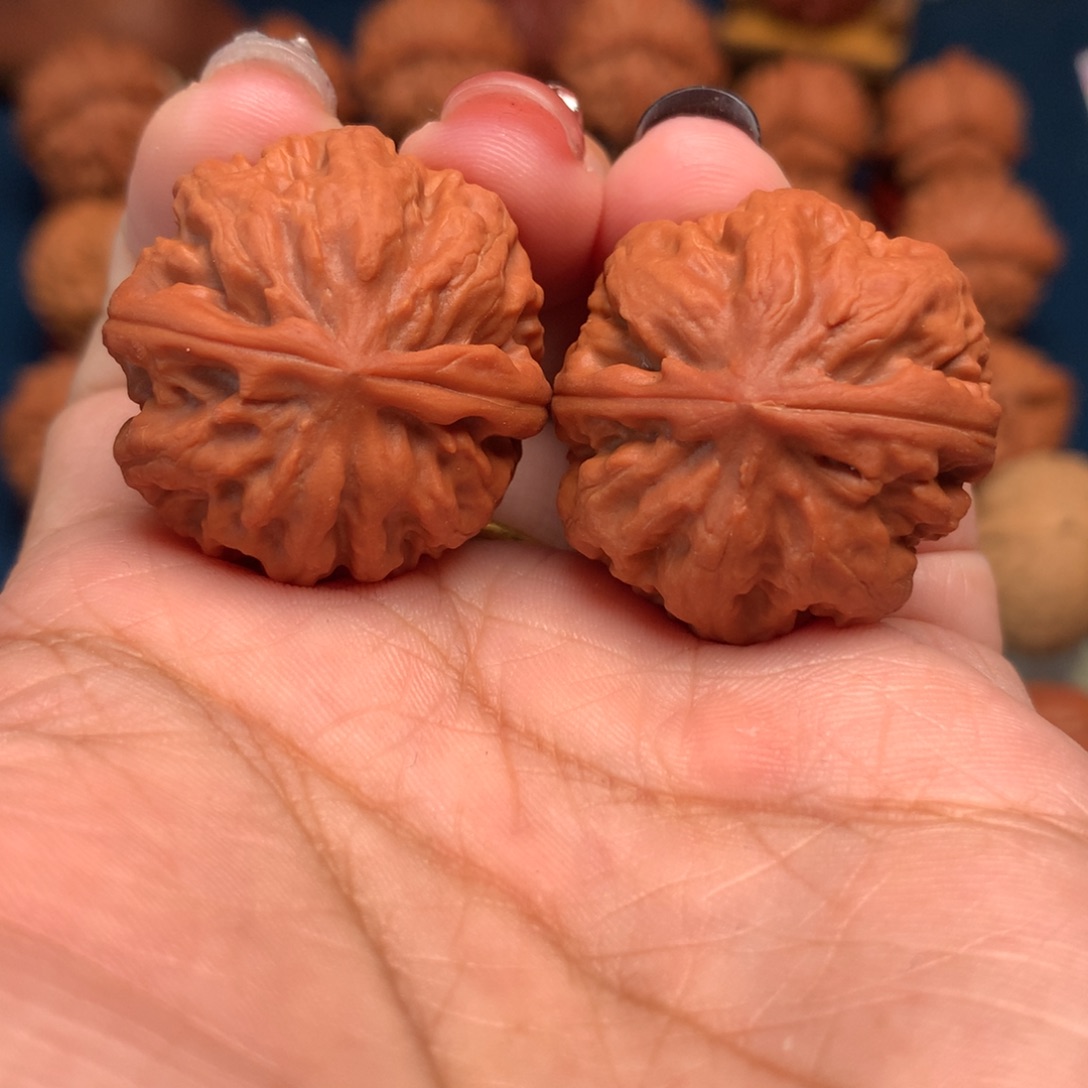 把件文玩核桃肉龙粗筋
