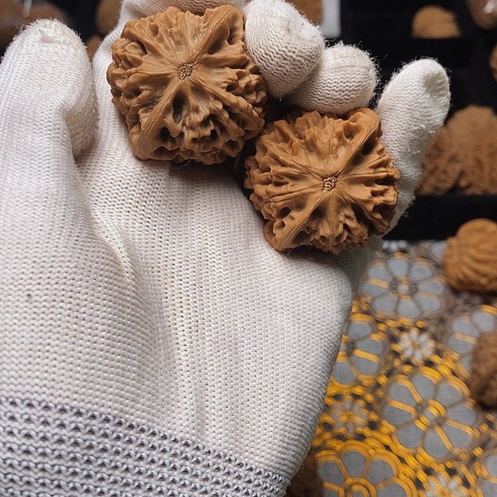 文玩核桃把件z***?秦岭秦闷