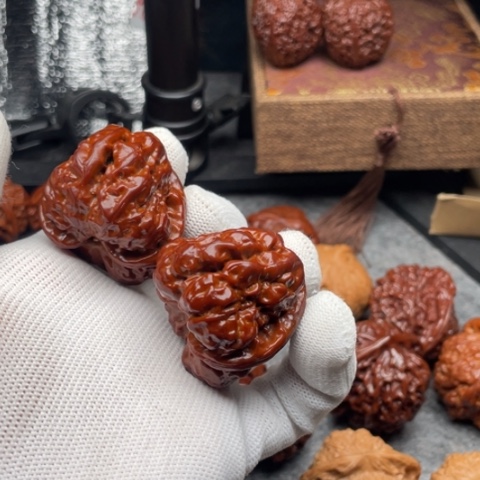 余***凡文玩核桃把件蛤蟆39