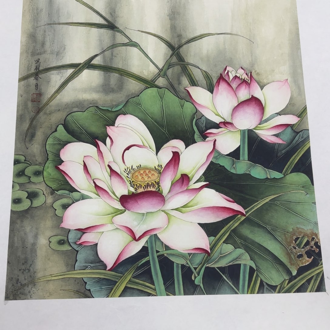 国画影*李倩 荷花 工笔36.41