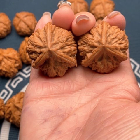 橄榄核手串/手链文山三棱34