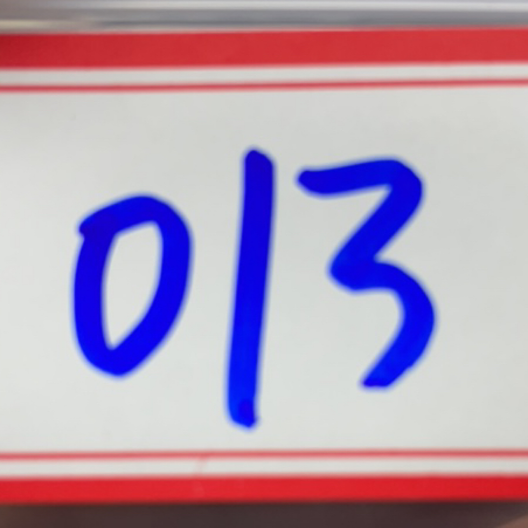 013 复古工艺银元