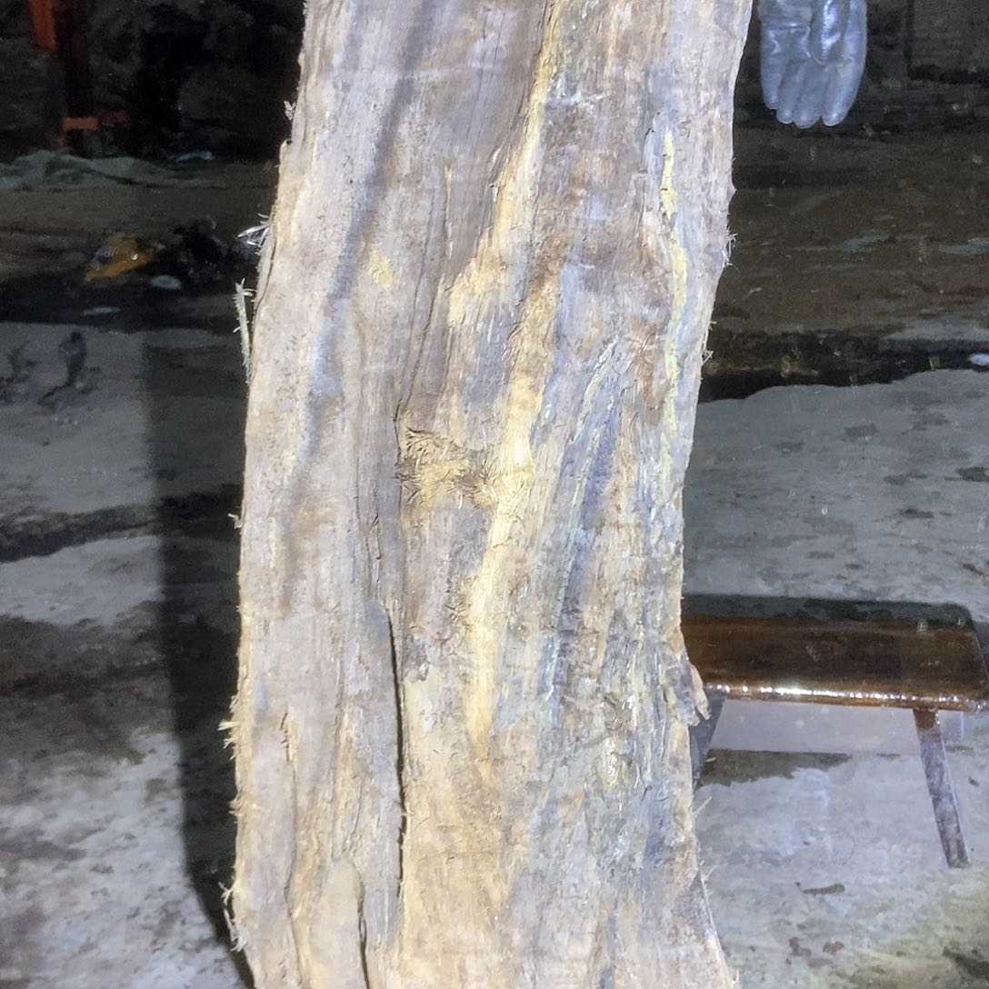 金丝楠阴沉木毛料