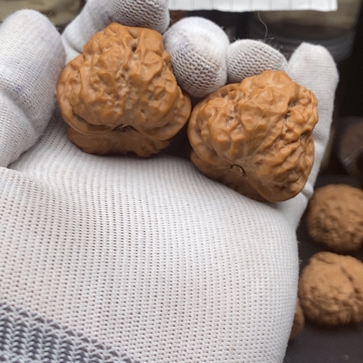 文玩核桃吊坠蛤蟆37尺