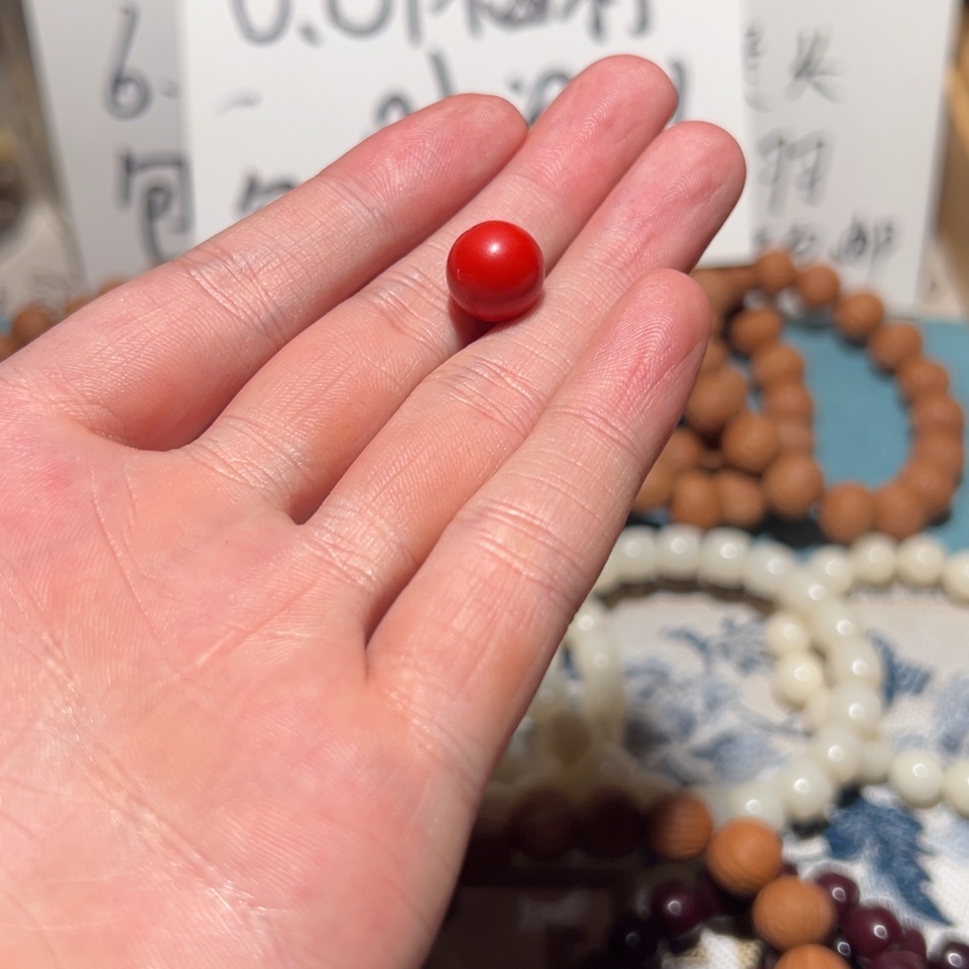 手串菩提根/象牙果