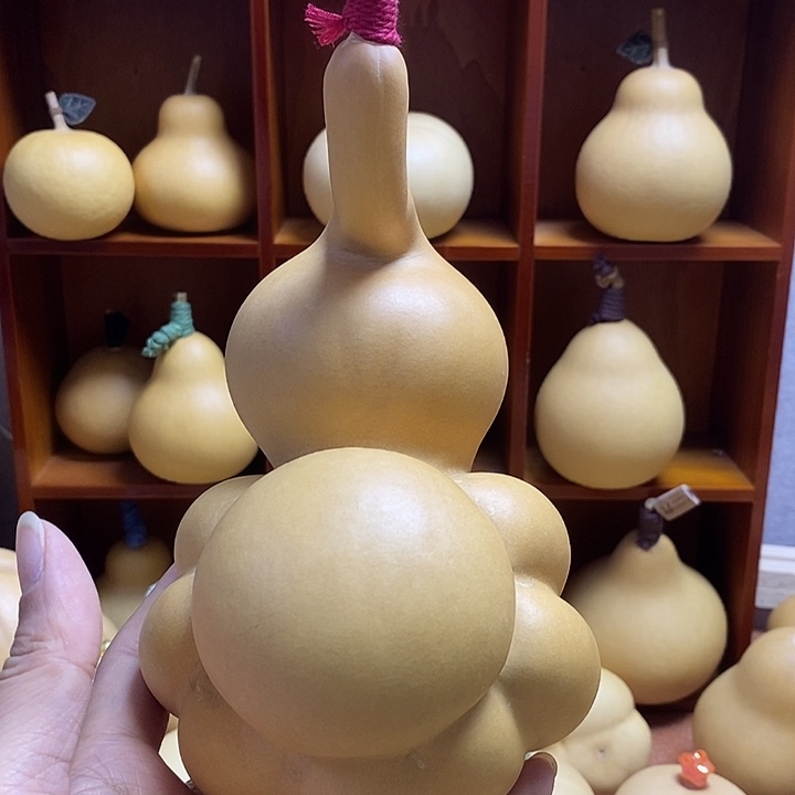 天然葫芦自然生长乌龟