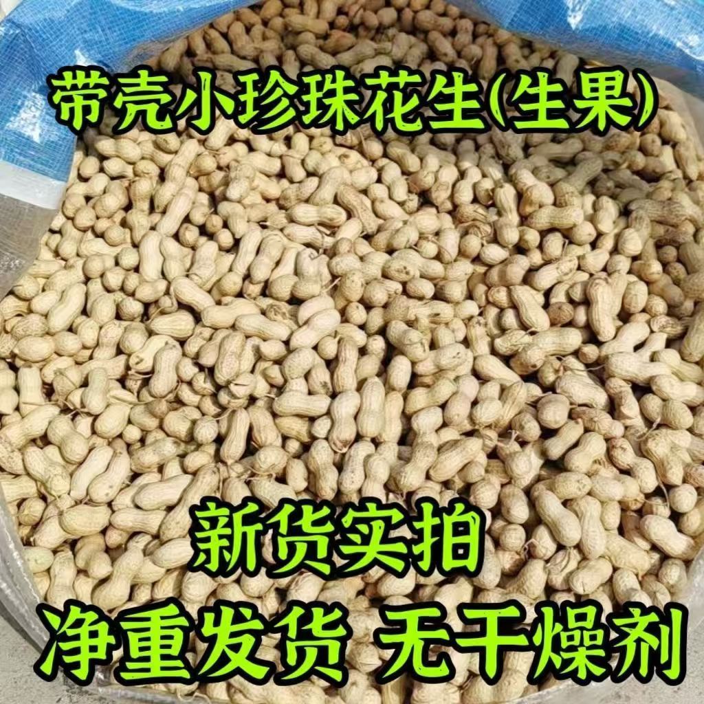 生花生【刘升小花生】2025年新货本地小珍珠花生带壳生花生小籽花生