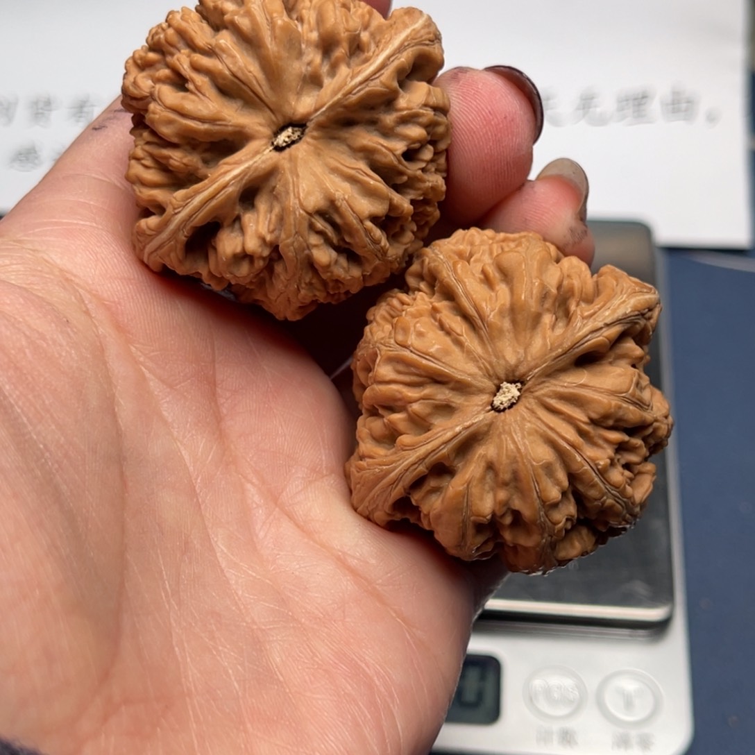 文玩核桃把件粗筋45