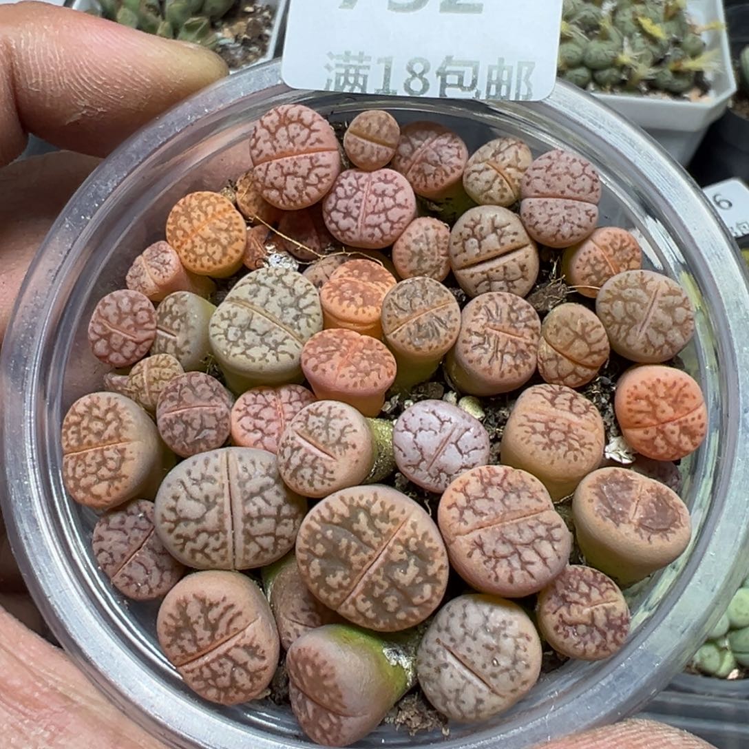 【闪购商品】 752。   