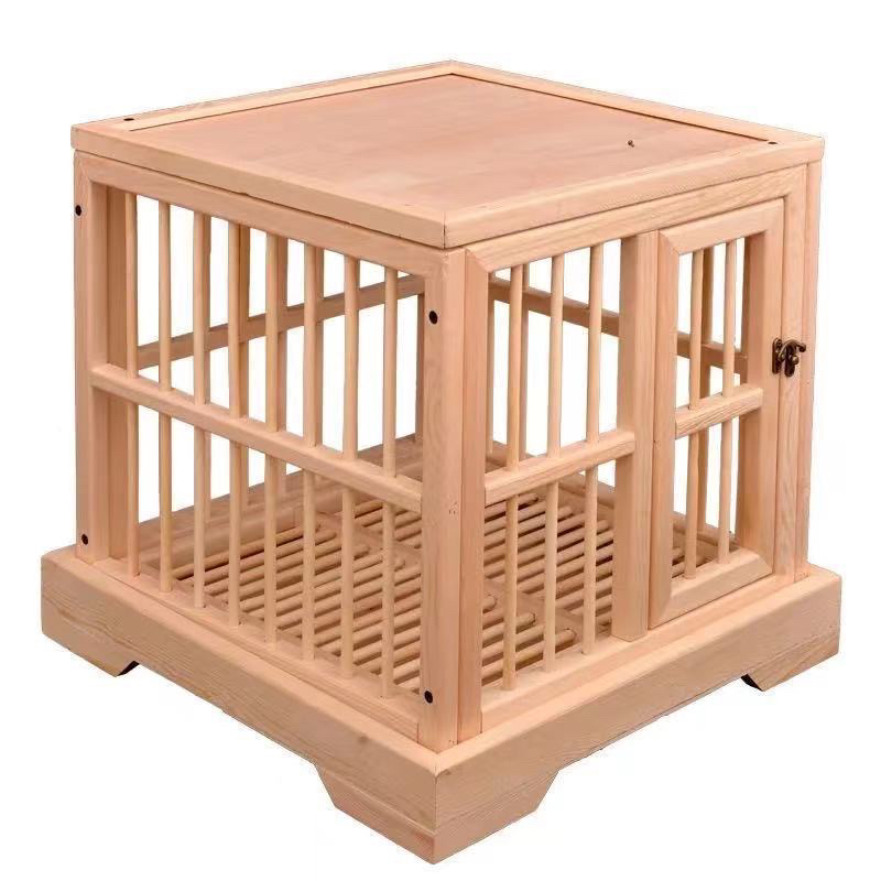 鸽子展示笼实木带灯生态设计美观实用宠物实体商品直播展示笼