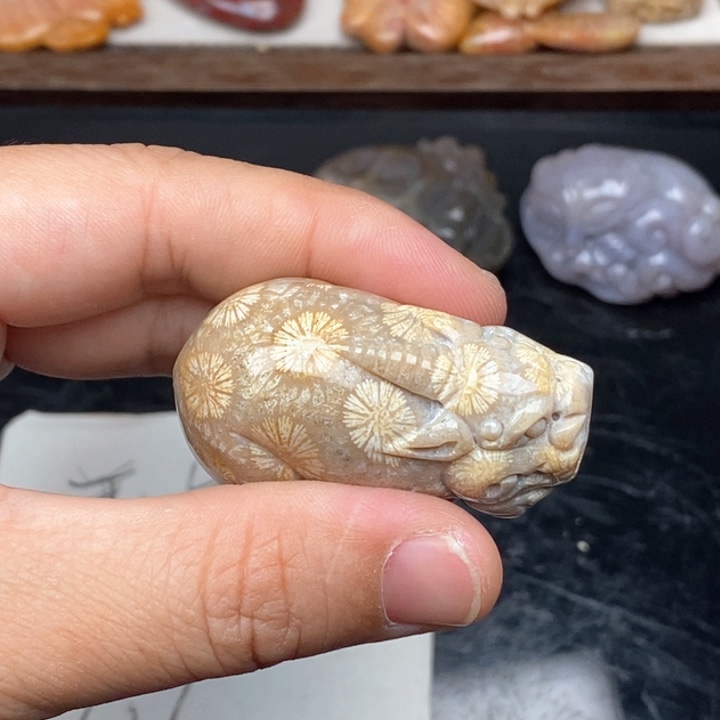 硅化珊瑚（珊瑚玉）手镯未镶嵌?****果