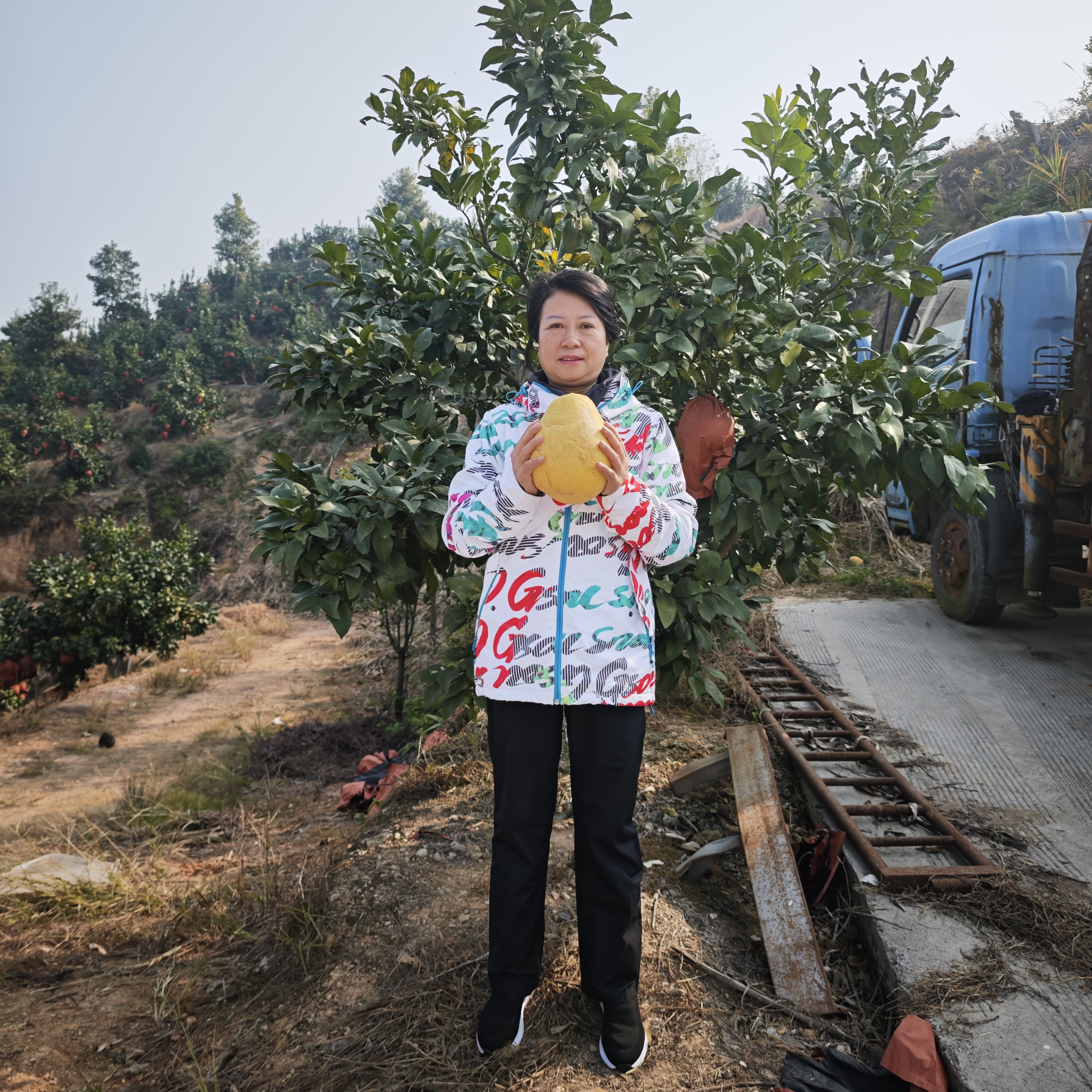 江西上饶正宗广丰马家柚现摘现发孕妇儿童当季红心蜜柚