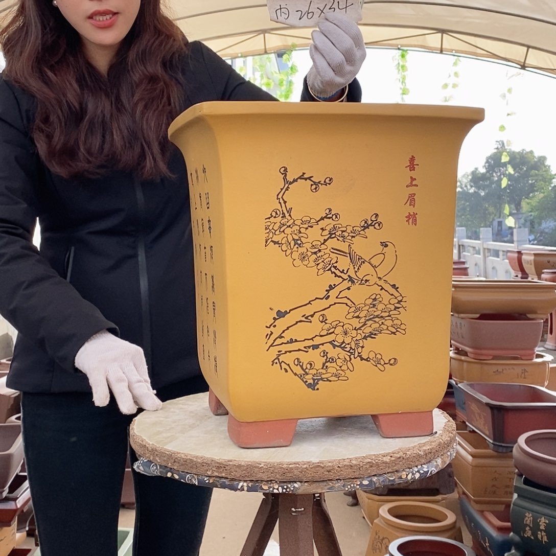 花盆紫砂紫砂花盆