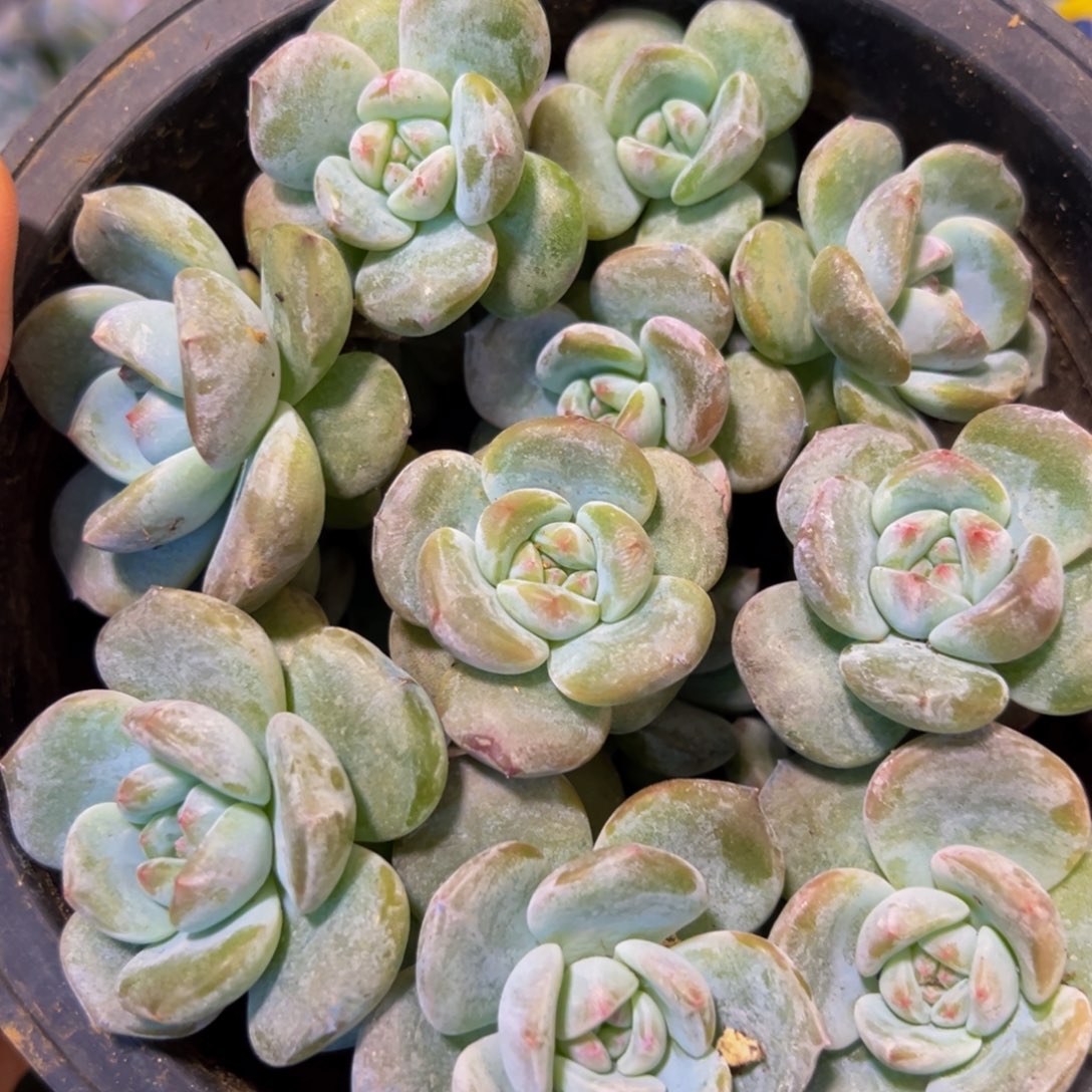 新年快乐 新年快乐 新年快乐 新年快乐