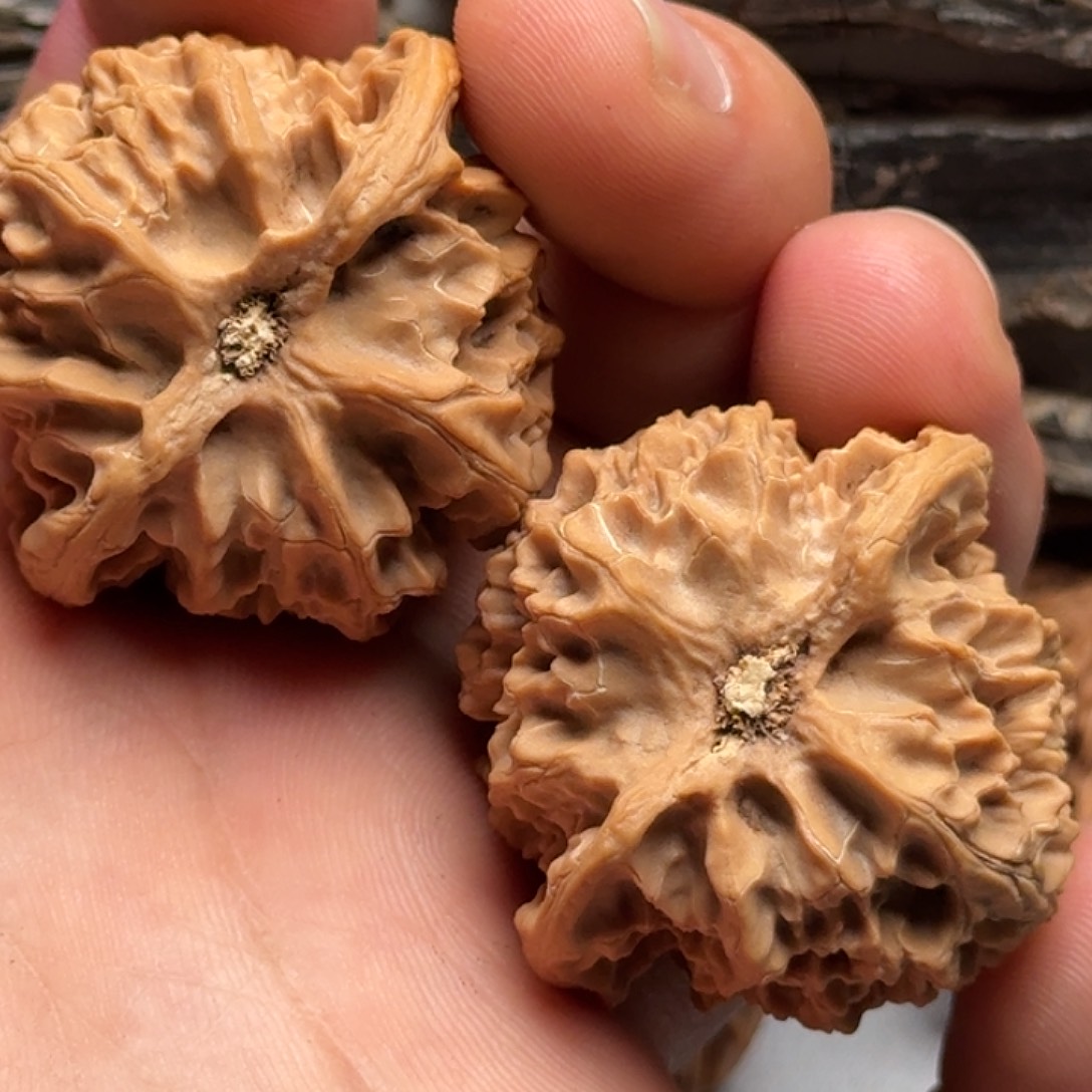 吊坠文玩核桃888888