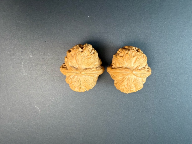 平谷元宝 尺寸43/40/34 全品无修 骨质压手 368包邮到家