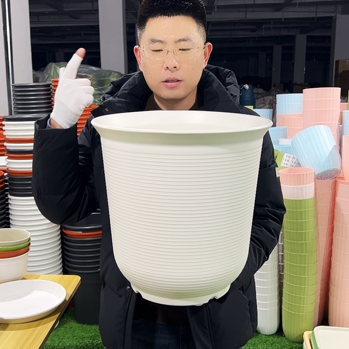 正品高陶口36高36白色2只无托