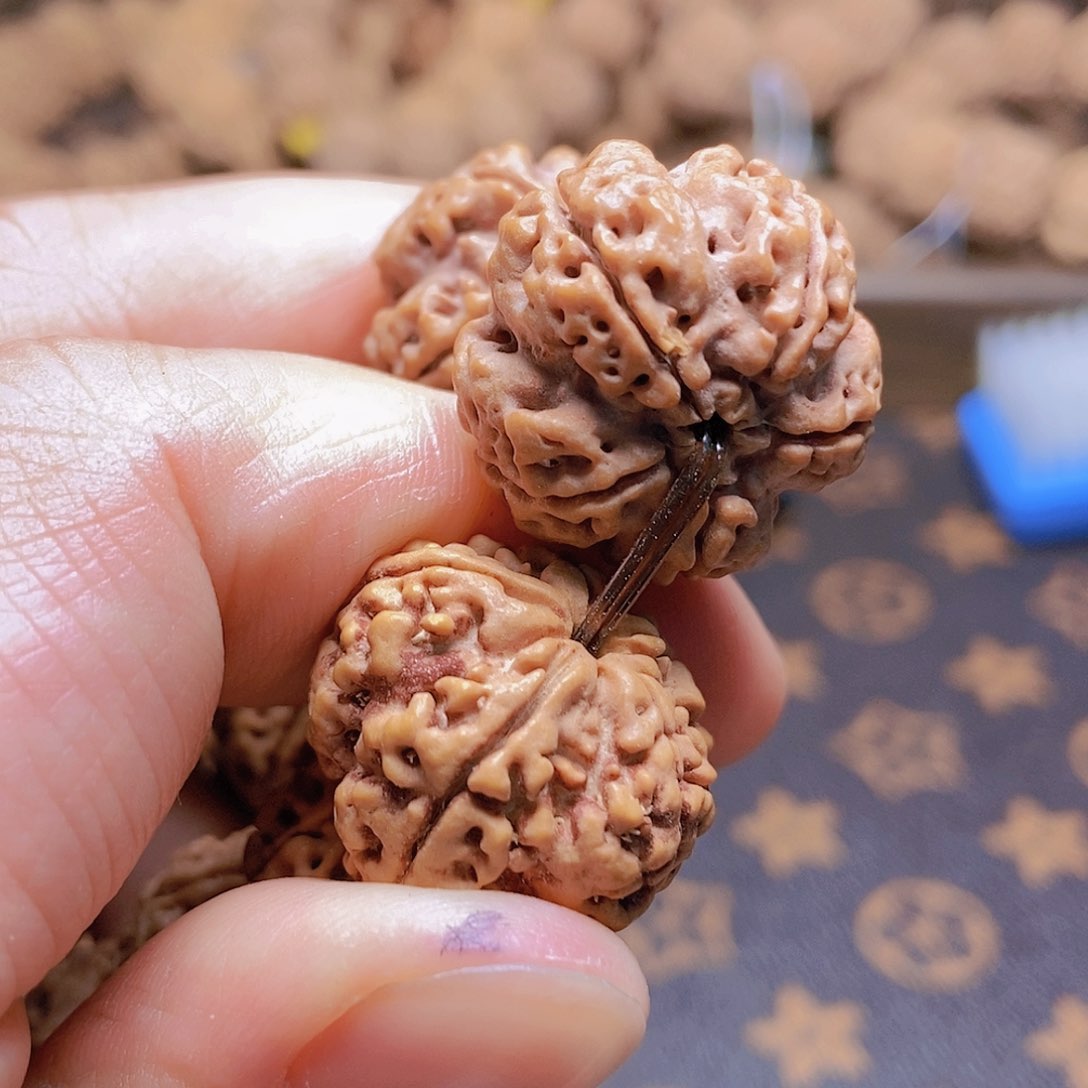 金刚菩提把件5瓣21梅花