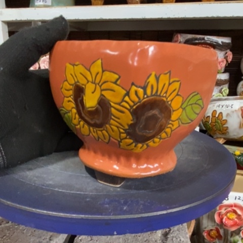 【闪购商品】     