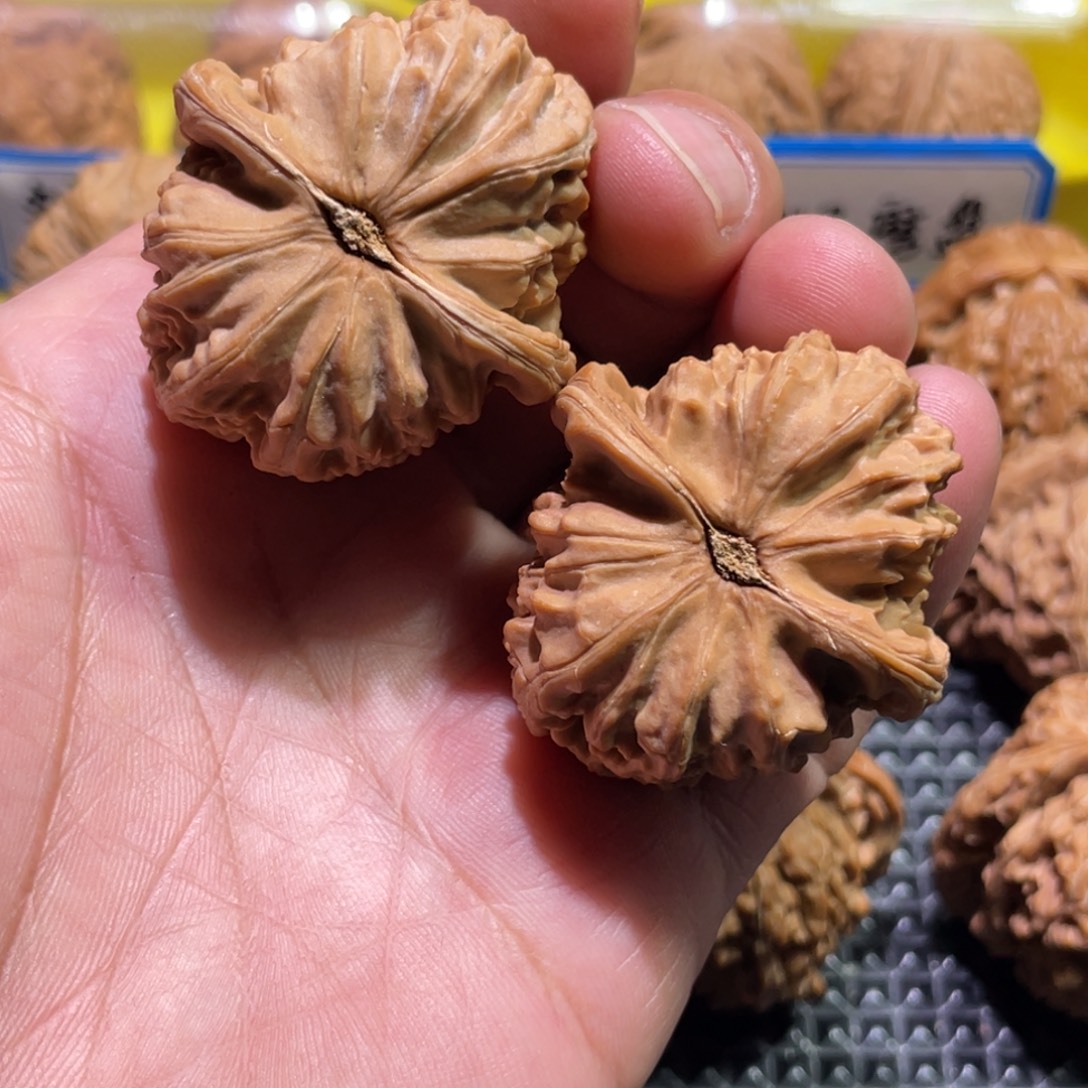 文玩核桃吊坠39全品白狮子