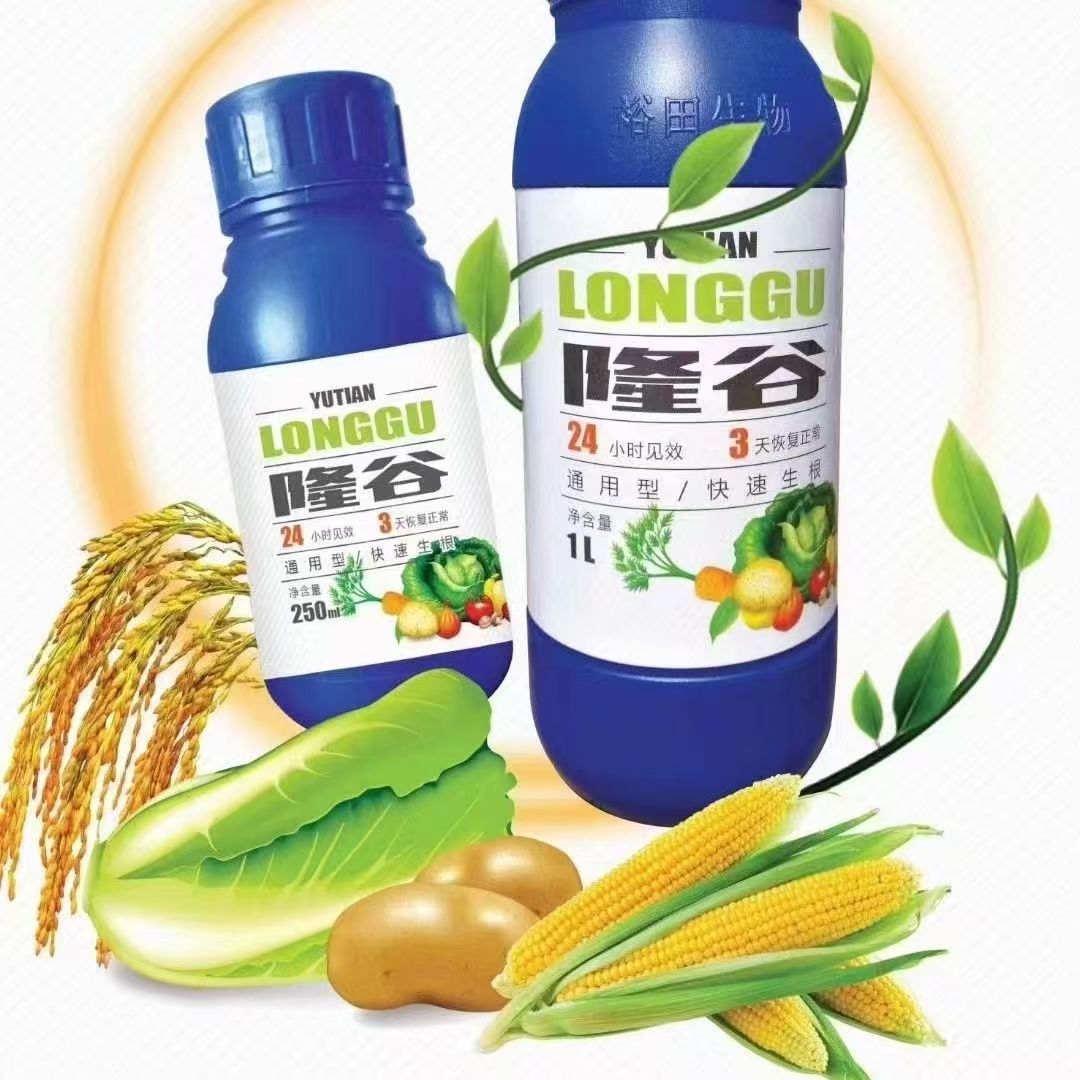 长春隆谷叶面肥病毒黄叶小叶解药害肥害蔬菜瓜果中药花卉通用型