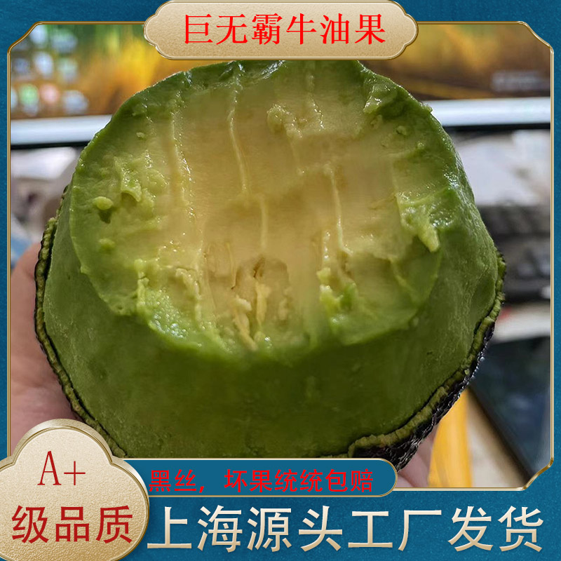 【直播大果4只】牛油果哈斯巨无霸现货成熟超大水果进口