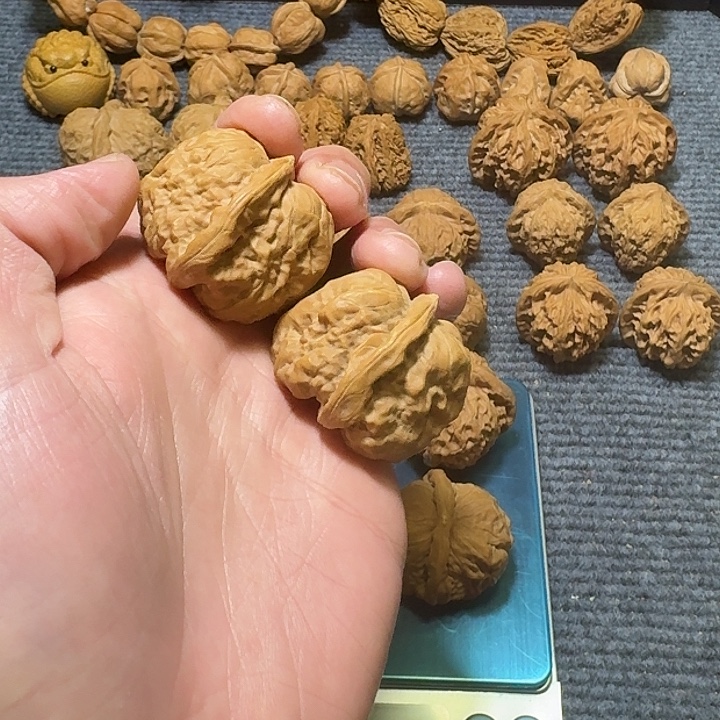 文玩核桃把件蛤蟆头练手41尺