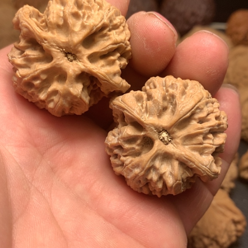 【闪购商品】文玩核桃吊坠苹果