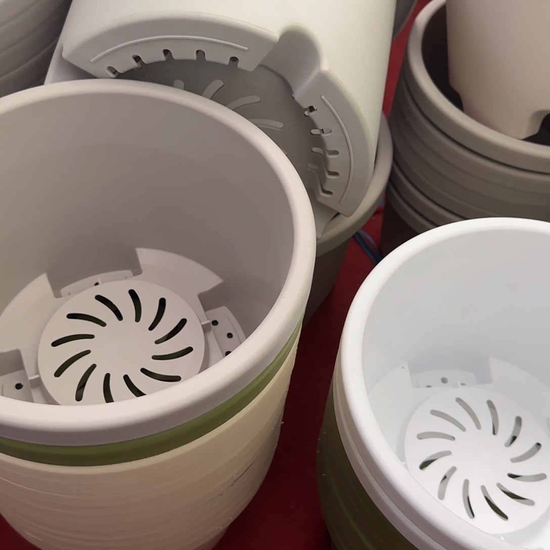 树脂球根3号带托5个果绿自己