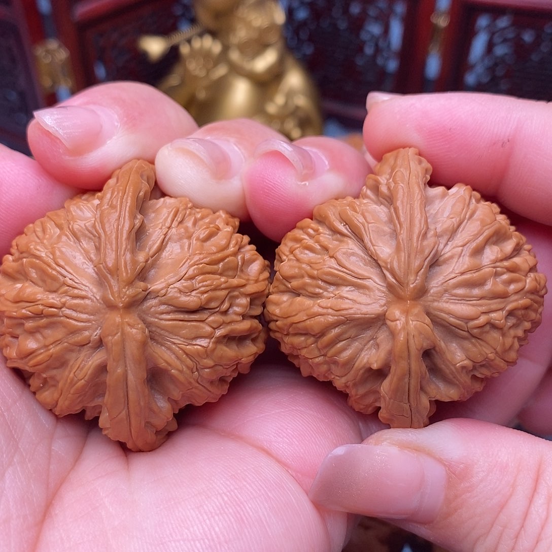 文玩核桃把件44全品毕业白狮子