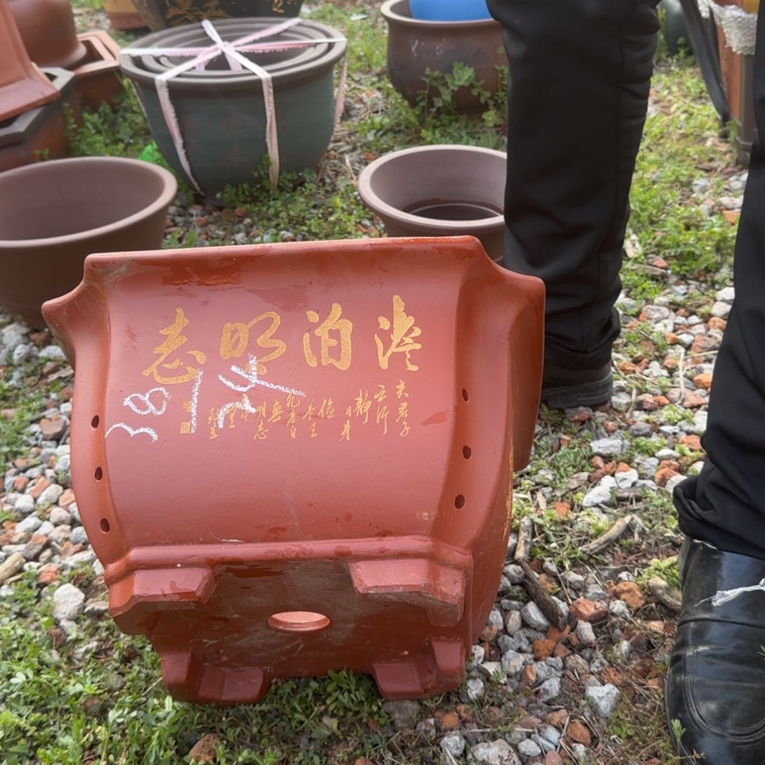 紫砂花盆盆景盆栽