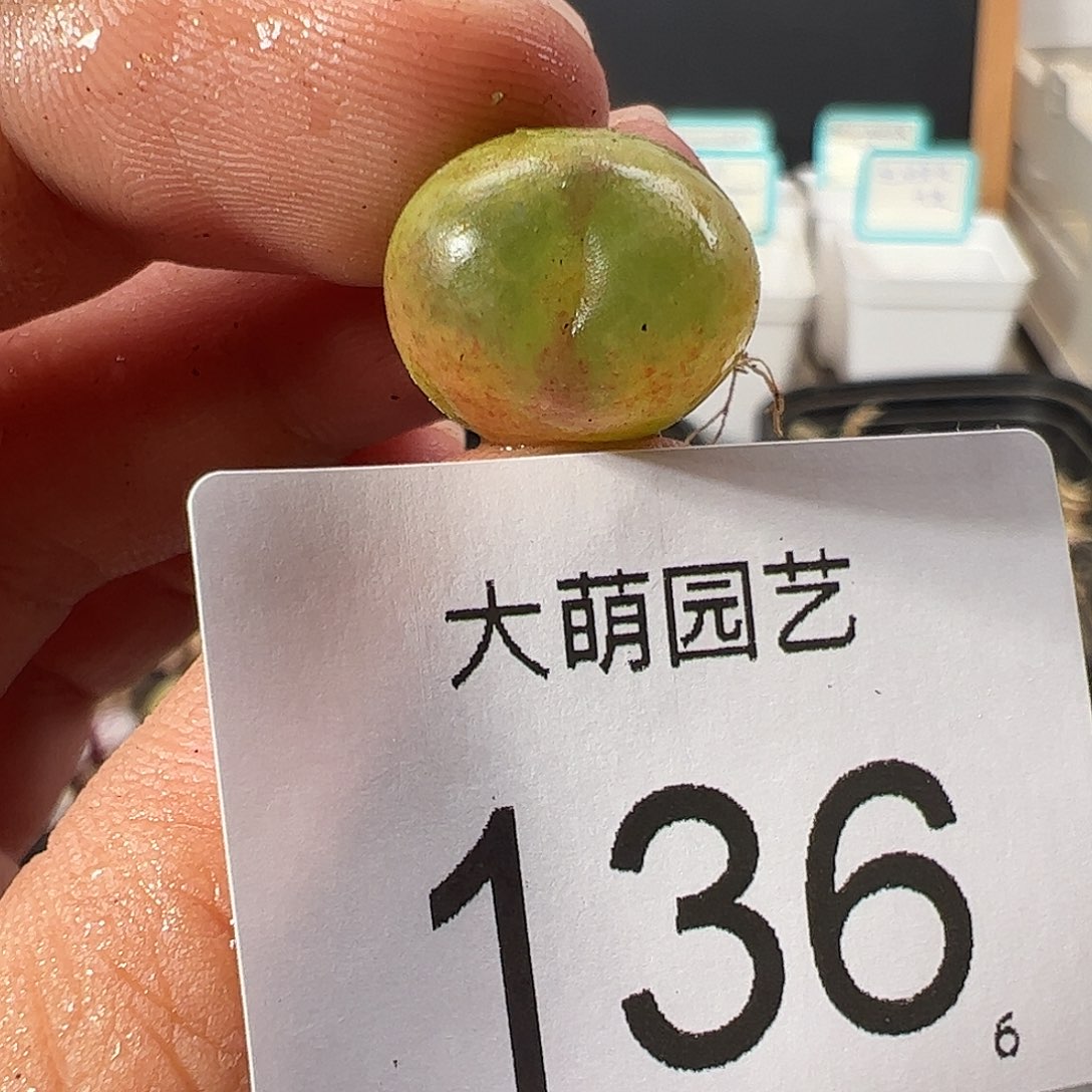 0000136 一物一拍……