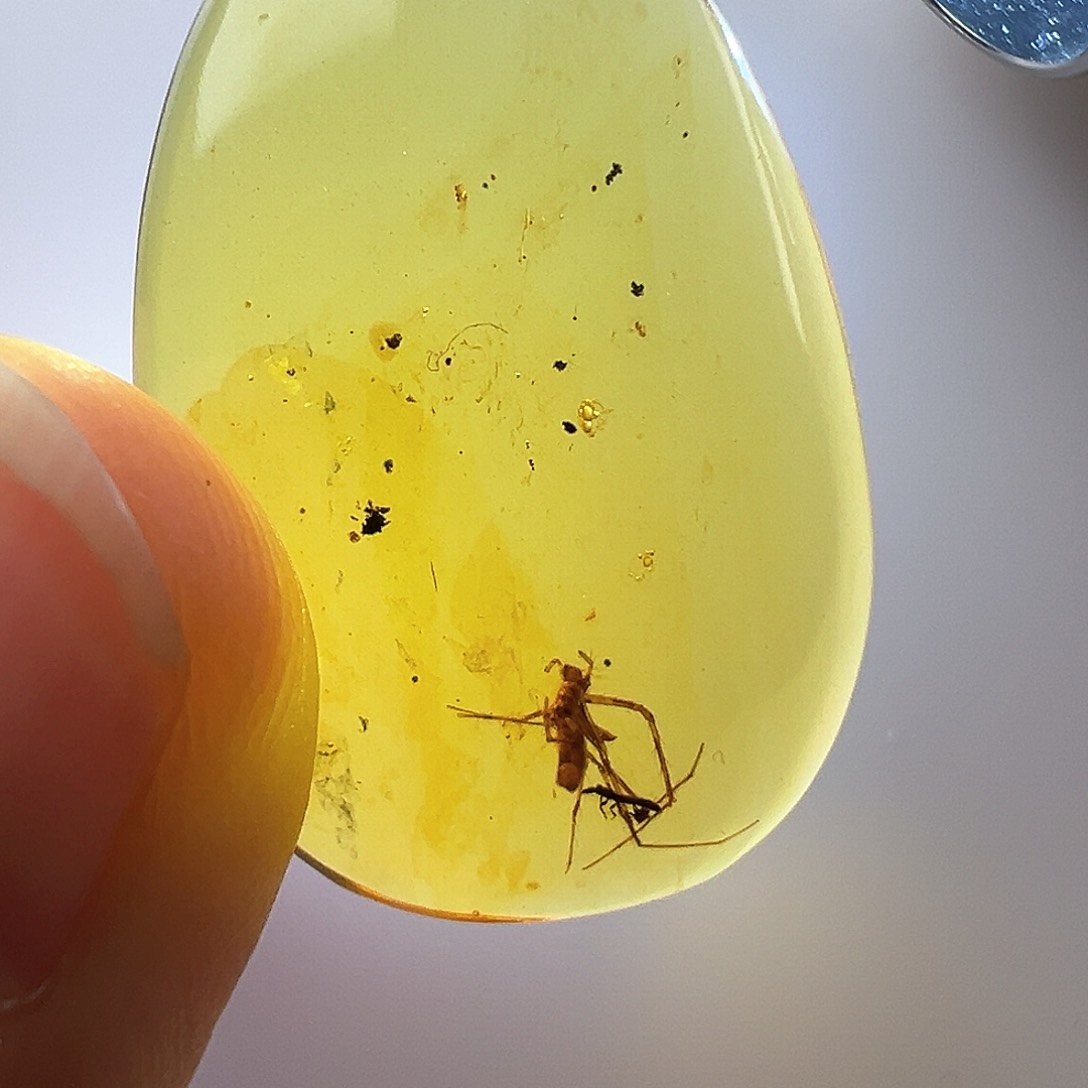 琥珀裸石未镶嵌琥珀虫珀吊坠