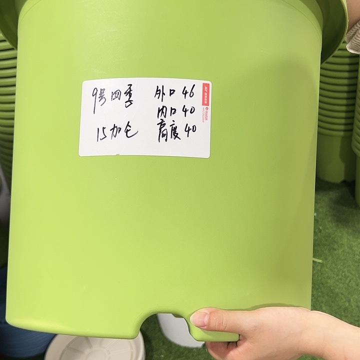 特价9号四季口46高40果绿无托2只