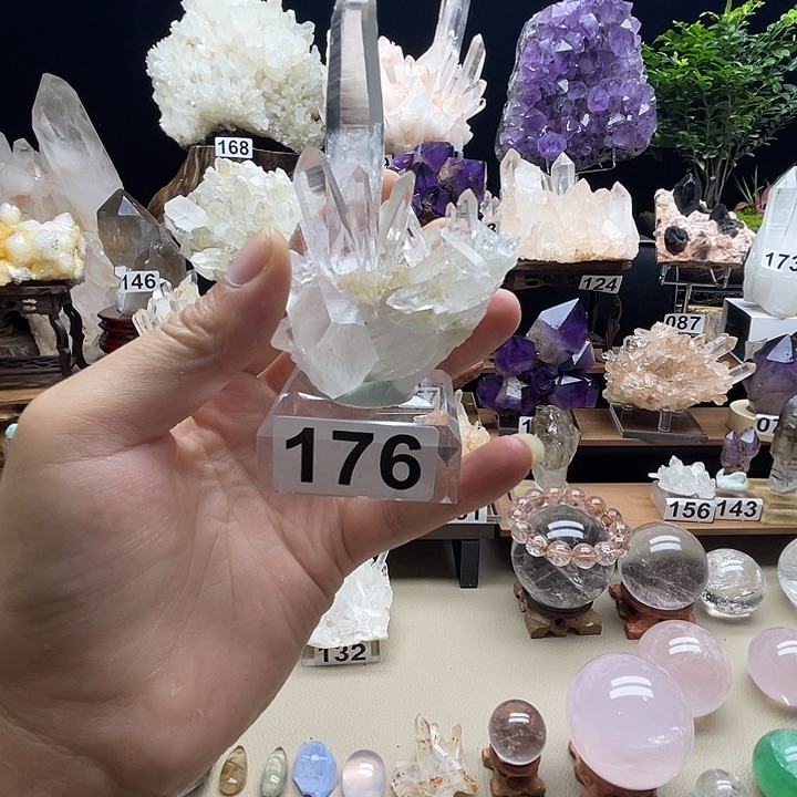 哥伦比亚利母簇598