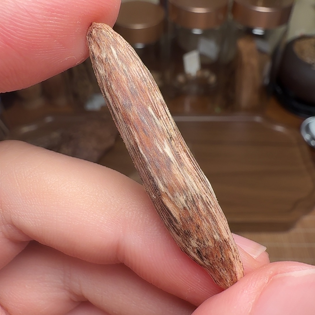 沉香香港大屿山棋韵瓜子