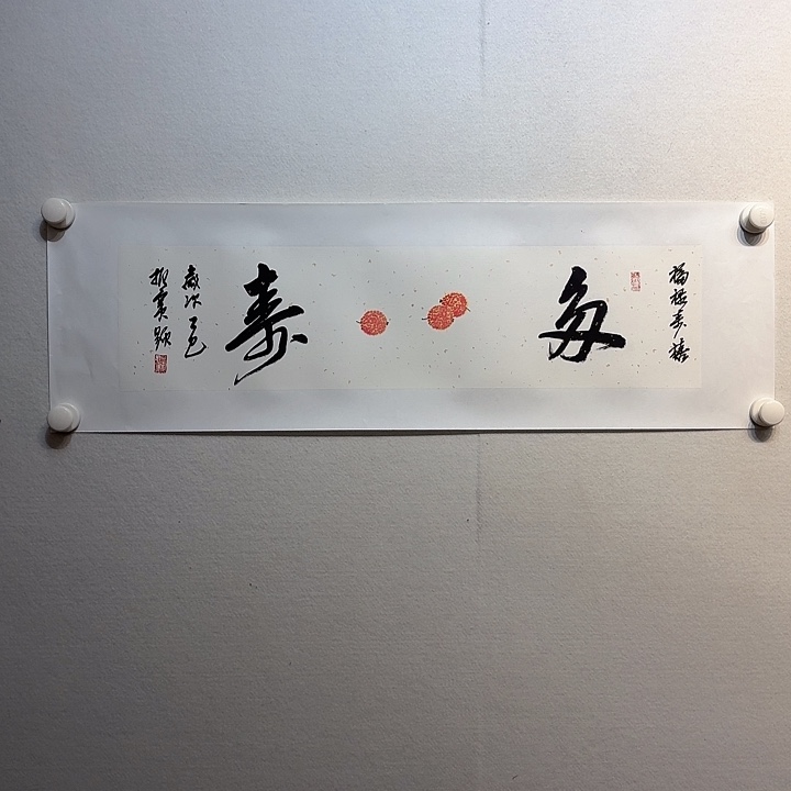 书法付振宝书法作品