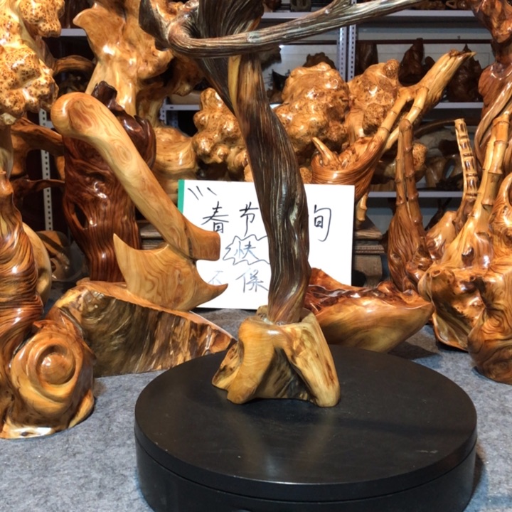 柏木（崖柏）政*崖柏15