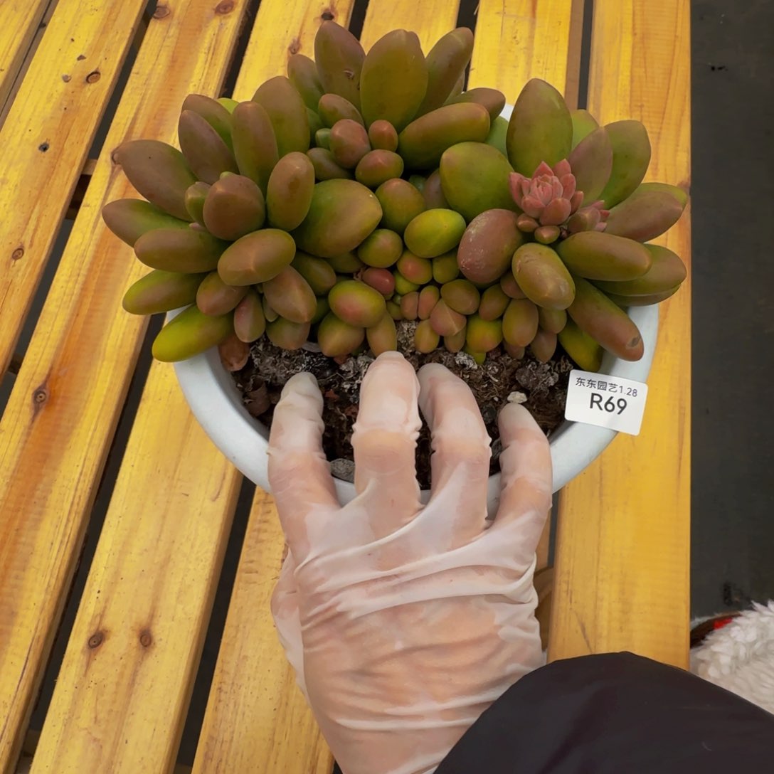 r r r r r r r r r r 69