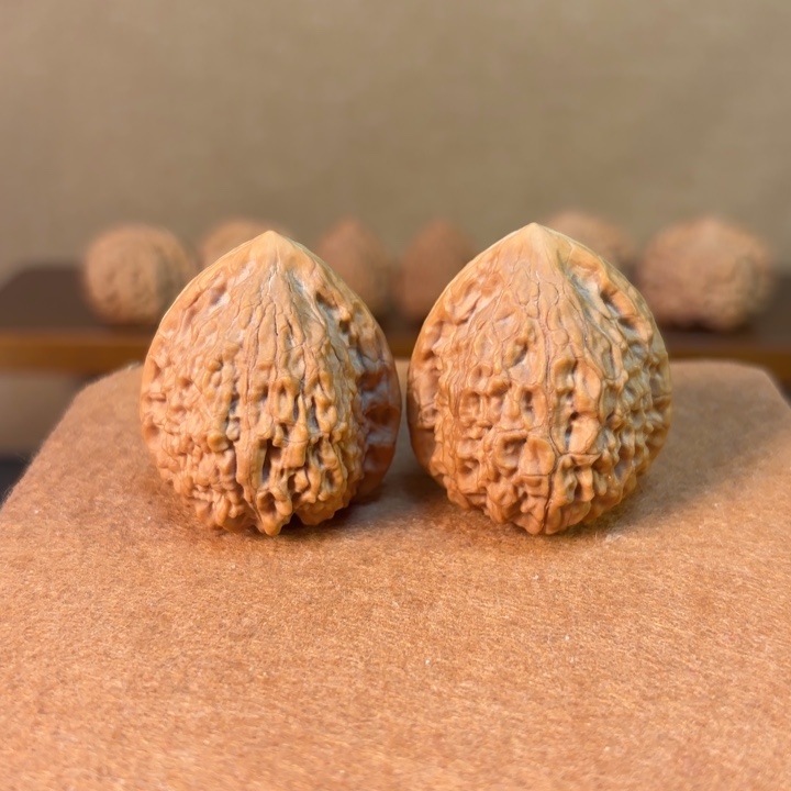 蛇王一抹36尺有修