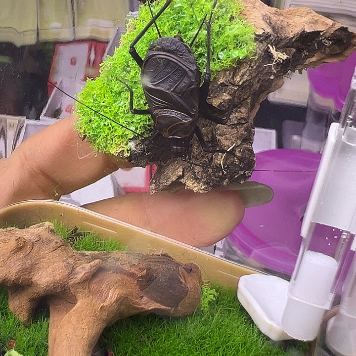 7***月哈哈哈哈哈哈哈哈哈哈哈哈哈哈