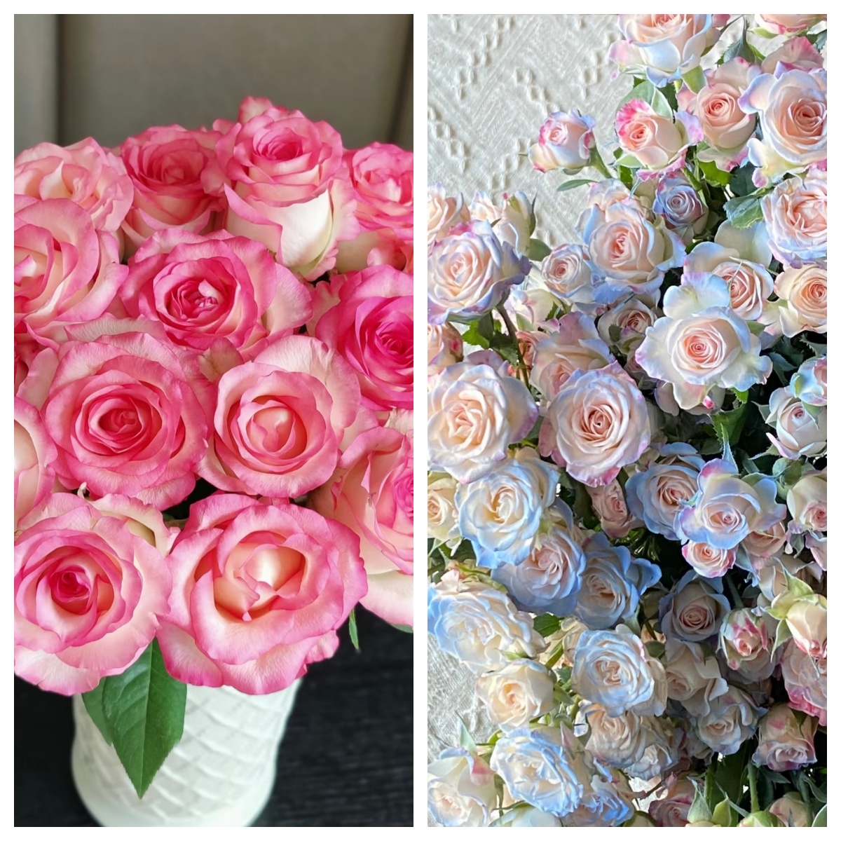 【艾莎5支+多头折射碎冰蓝5支）】 任意2单升级顺丰/德邦