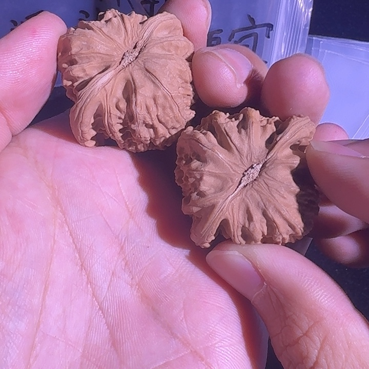 文玩核桃吊坠40尺寸白狮子